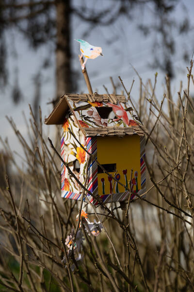 NINHOabrigo NINHOabrigo