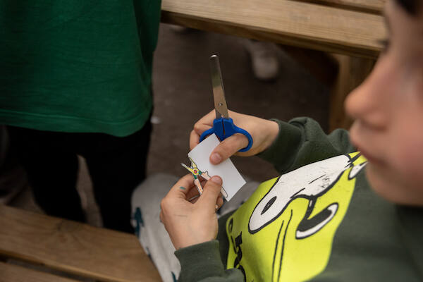 NINHOabrigo NINHOabrigo